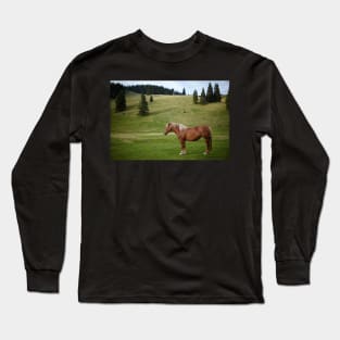 Brown horse on a pasture Long Sleeve T-Shirt